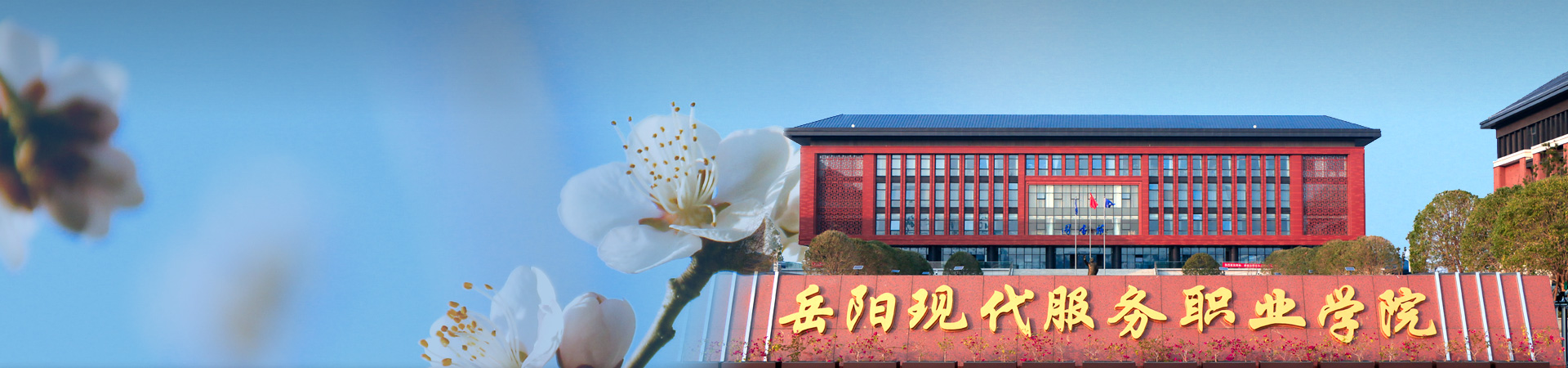 社区动态