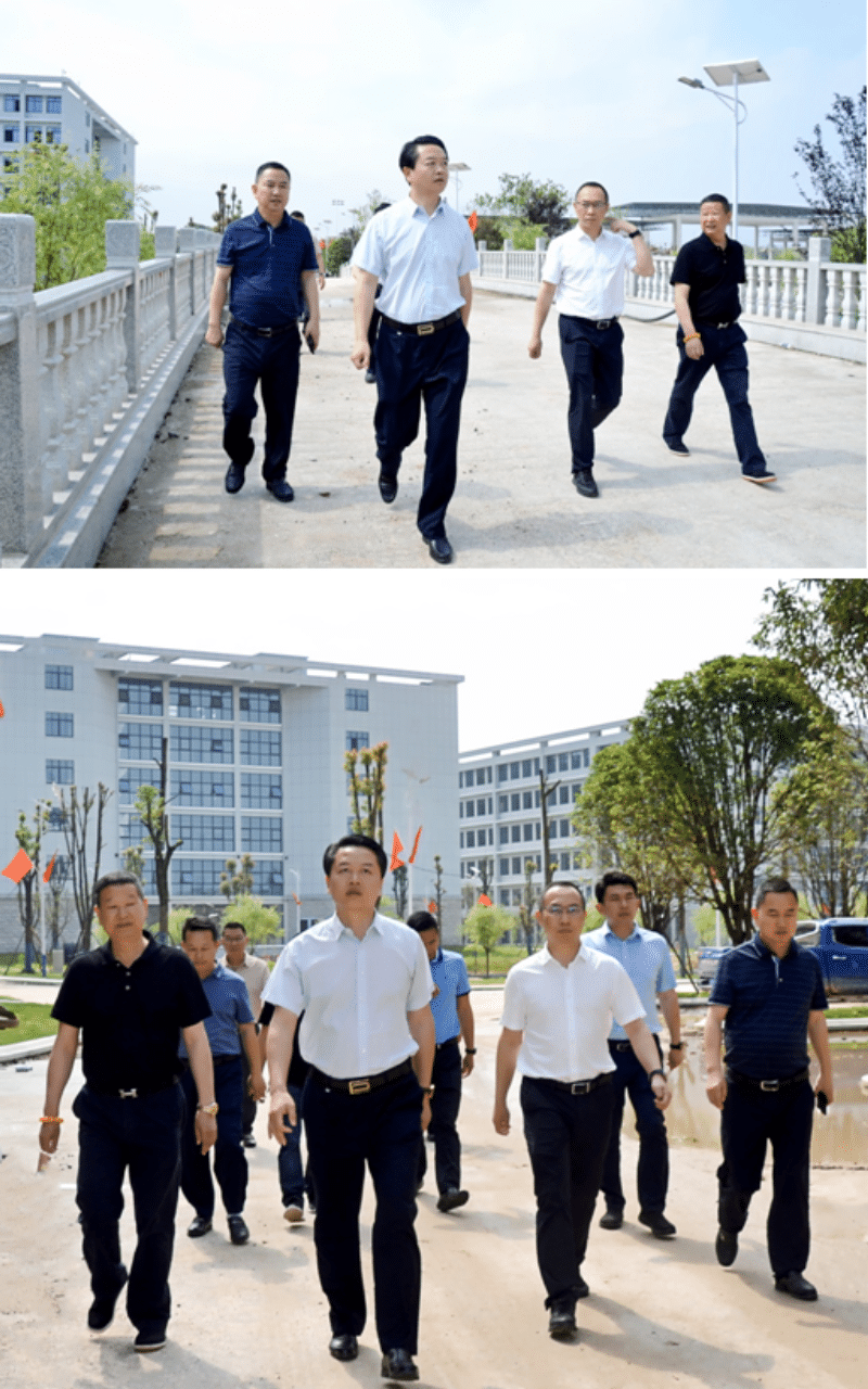 3377体育核心通道图片