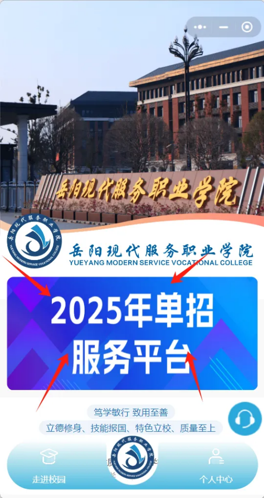 3377体育平台图片