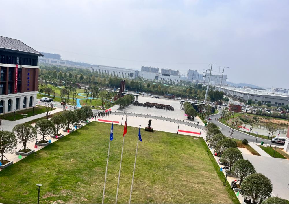 3377体育安全通道图片