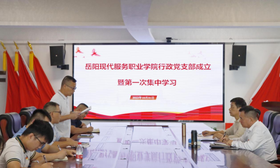 3377体育指定通道图片