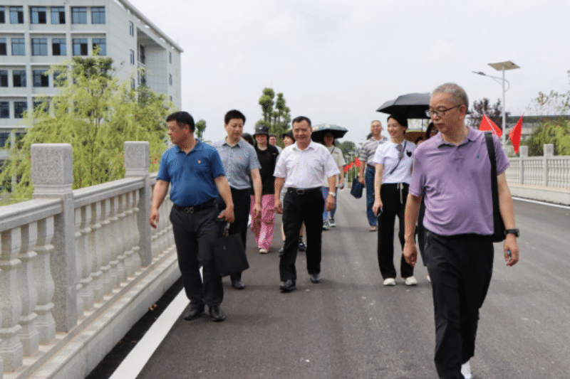 3377体育指定入口图片