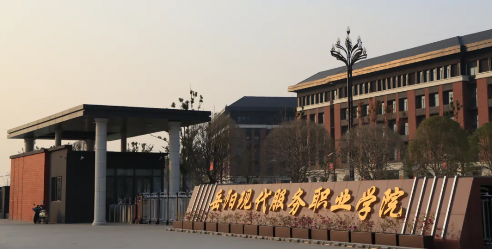 3377体育核心通道