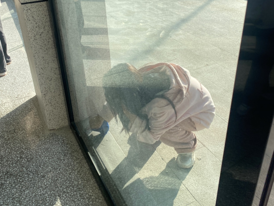 3377体育备用网址图片