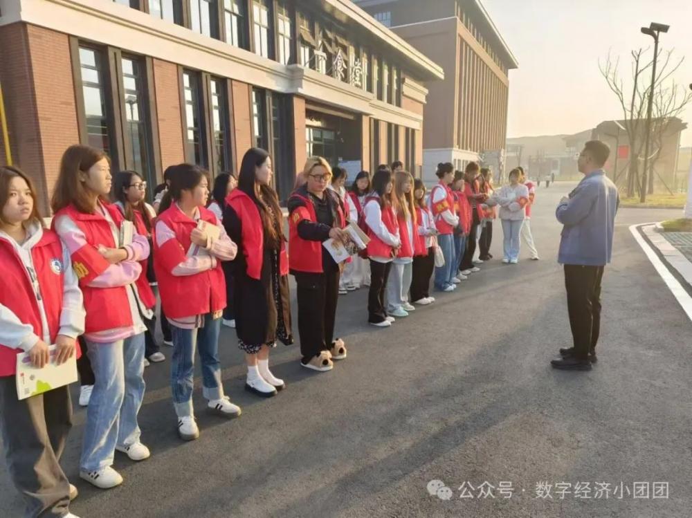 3377体育备用网址图片