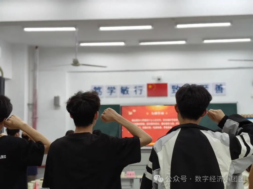 3377体育数据中心图片