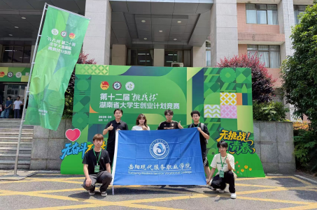 3377体育稳定线路
